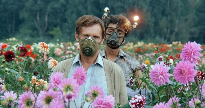 Москвичей с 1 июня обязали надевать маски при любом выходе из дома